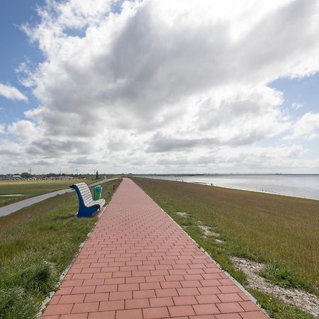 Direkt Am Deich - Ferienwohnung Amrum Im Gaestehaus Am Badedeich Dagebuell Ngoại thất bức ảnh